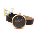 Наручний годинник ROYAL LONDON 21376-06