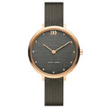 Купити годинники Danish Design IV71Q1218 ❤ найкраща ціна в магазині Lux-time