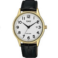 Купити наручний годинник Q&Q A482J104Y| Ціна, опис, Lux-time