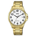 Наручний годинник Q&Q  A480J004Y